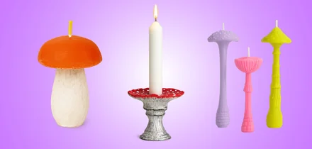 Эти грибы есть нельзя! Но можно носить, зажигать и любоваться — 10 необычных находок