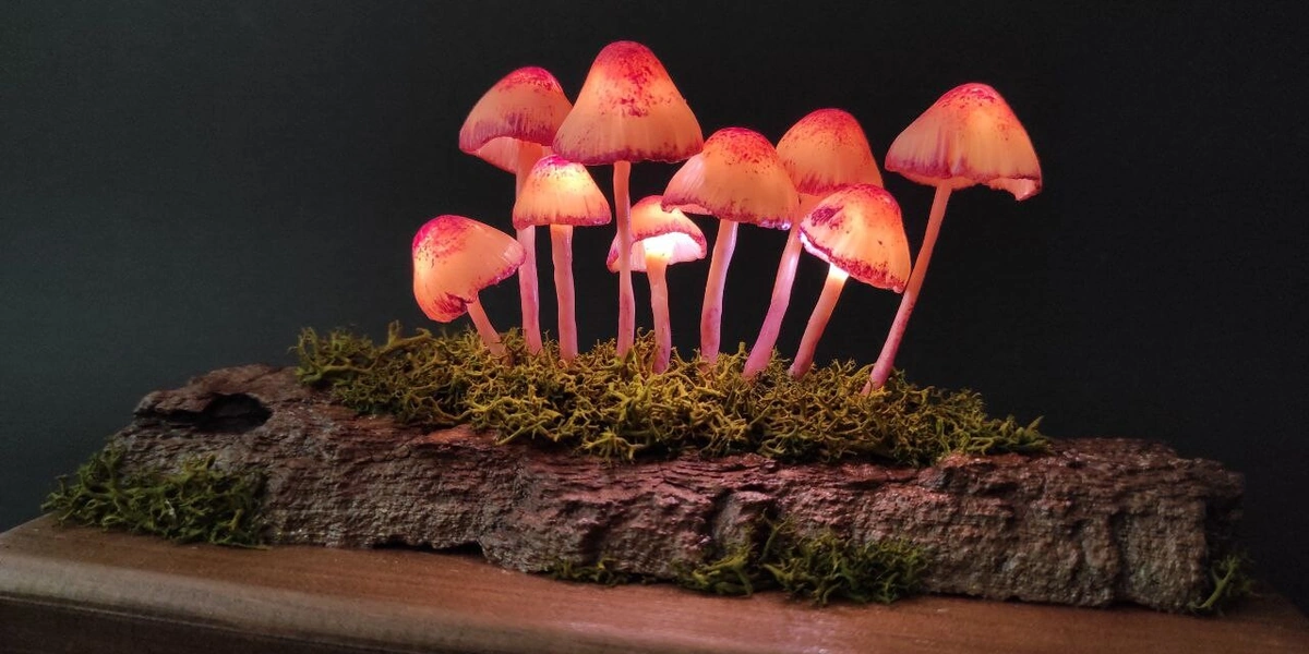 Эти грибы есть нельзя! Но можно носить, зажигать и любоваться — 10 необычных находок