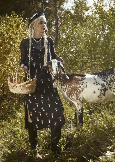 Эти грибы есть нельзя! Но можно носить, зажигать и любоваться — 10 необычных находок