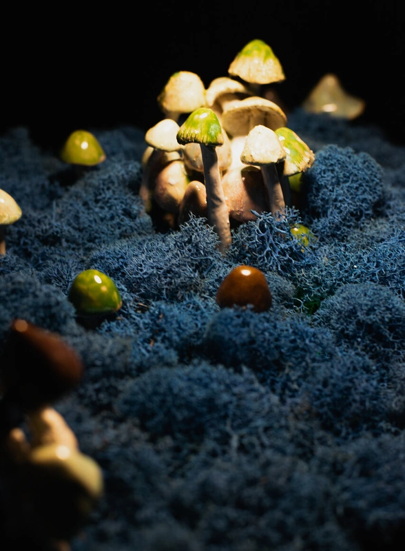 Эти грибы есть нельзя! Но можно носить, зажигать и любоваться — 10 необычных находок