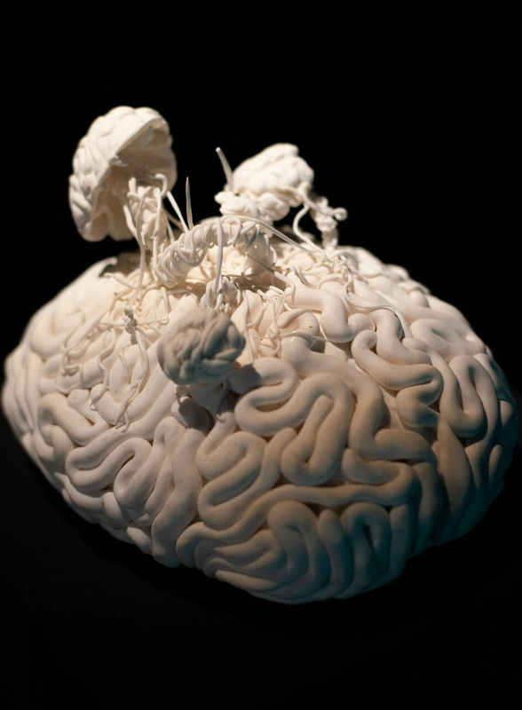 Эти грибы есть нельзя! Но можно носить, зажигать и любоваться — 10 необычных находок