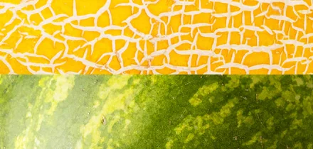 Как выбрать спелый и сладкий арбуз и дыню