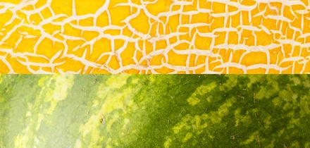 Как выбрать спелый и сладкий арбуз и дыню