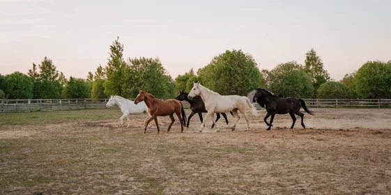 Алло, палатка? Вам доставка из ВкусВилла!