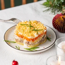 Мимоза классическая