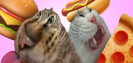 Хочешь быть счастливым — не ешь в одиночестве! Разбираем исследование с экспертами