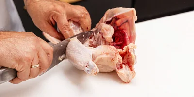 <b>Шаг 4: Отделяем ножки</b><br>Переверните тушку спинкой вверх. Ножки легко отделяются путем простого нажатия и отведения их от туловища. Срежьте ножки по контуру, двигаясь вдоль туловища. Чтобы разделить ножку на бедро и голень, возьмите её в руки, найдите сустав между этими частями (он легко прощупывается) и согните ножку до хруста. Разрежьте точно по линии сустава.