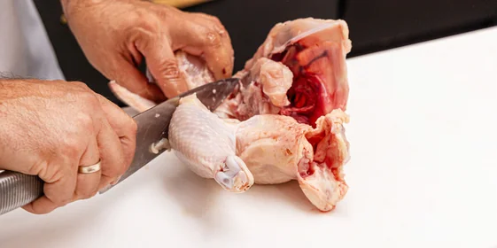 <b>Шаг 4: Отделяем ножки</b><br>Переверните тушку спинкой вверх. Ножки легко отделяются путем простого нажатия и отведения их от туловища. Срежьте ножки по контуру, двигаясь вдоль туловища. Чтобы разделить ножку на бедро и голень, возьмите её в руки, найдите сустав между этими частями (он легко прощупывается) и согните ножку до хруста. Разрежьте точно по линии сустава.