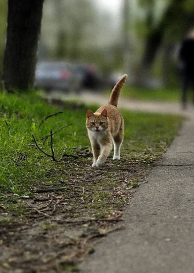 Наличники, желудёвый кофе и… 5 причин поехать в Сергиев Посад