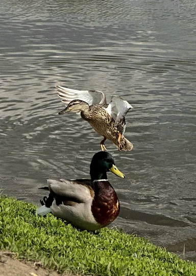 Наличники, желудёвый кофе и… 5 причин поехать в Сергиев Посад