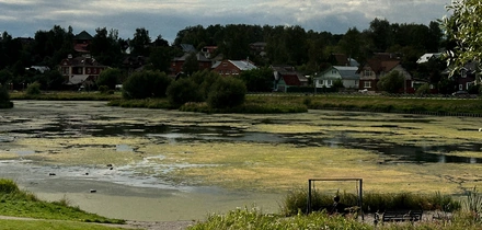 Наличники, желудёвый кофе и… 5 причин поехать в&nbsp;Сергиев Посад