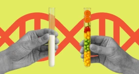 О пищевых добавках: чем натуральные отличаются от идентичных им