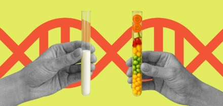 О пищевых добавках: чем натуральные отличаются от&nbsp;идентичных им