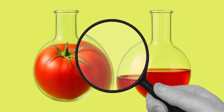 О пищевых добавках: чем натуральные отличаются от идентичных им