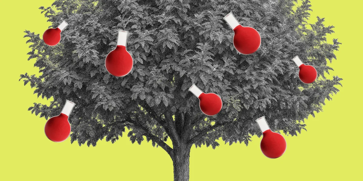 О пищевых добавках: чем натуральные отличаются от идентичных им