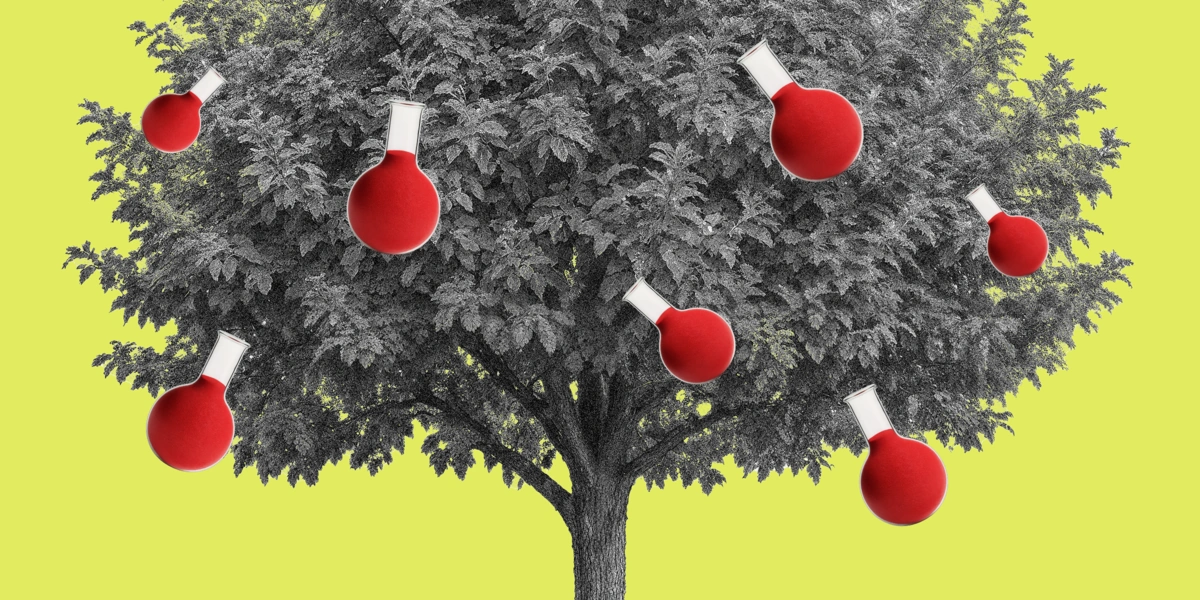 О пищевых добавках: чем натуральные отличаются от&nbsp;идентичных им