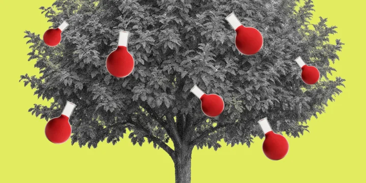 О пищевых добавках: чем натуральные отличаются от идентичных им