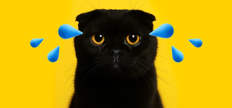 Как понять, что питомцу нужен ветеринар