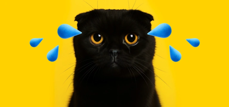 Как понять, что питомцу нужен ветеринар