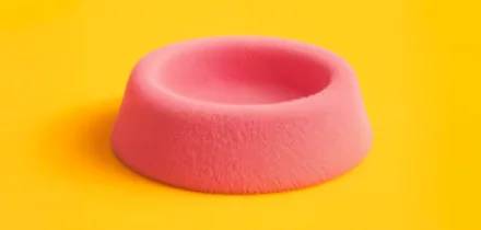 Как понять, что питомцу нужен ветеринар