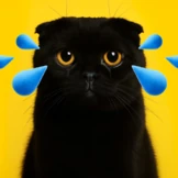 Как понять, что питомцу нужен ветеринар