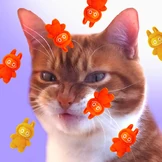 Почему хейтить тренды тоже в тренде