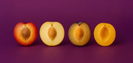 Чем полезны сливы и сколько в них калорий