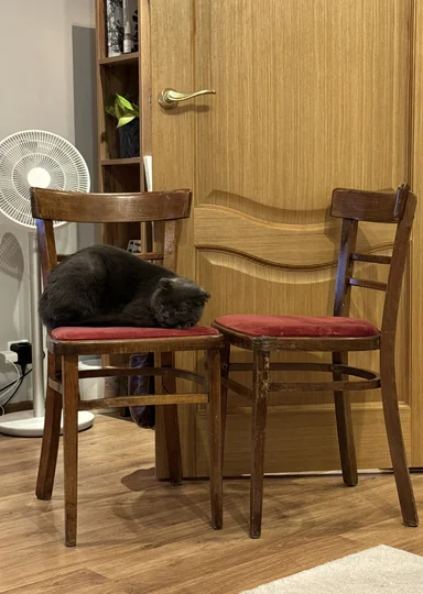 Ресайкл: как старое стало новым трендом