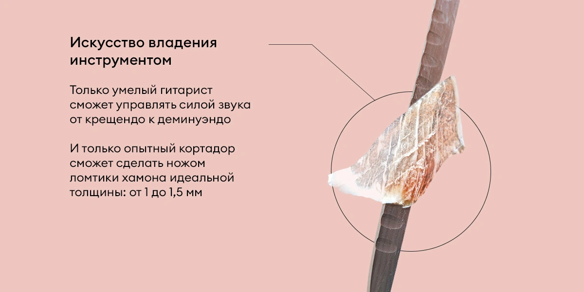 Чем отличается хамон от&nbsp;прошутто и&nbsp;при&nbsp;чём здесь гитара