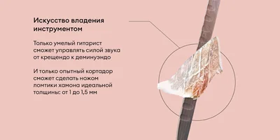 Чем отличается хамон от прошутто и при чём здесь гитара