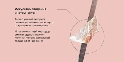 Чем отличается хамон от&nbsp;прошутто и&nbsp;при&nbsp;чём здесь гитара