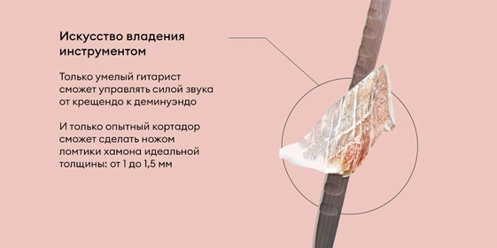 Чем отличается хамон от&nbsp;прошутто и&nbsp;при&nbsp;чём здесь гитара