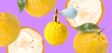 Редкий цитрус: что такое каламанси и с чем едят юдзу