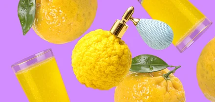 Редкий цитрус: что такое каламанси и с чем едят юдзу