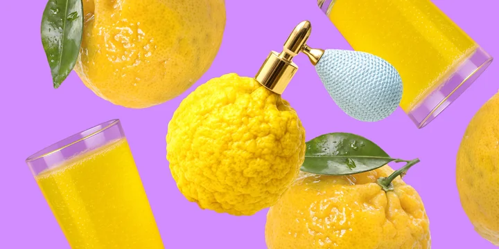 Редкий цитрус: что такое каламанси и с чем едят юдзу