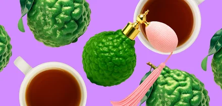 Редкий цитрус: что такое каламанси и с чем едят юдзу