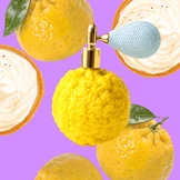 Редкий цитрус: что такое каламанси и с чем едят юдзу