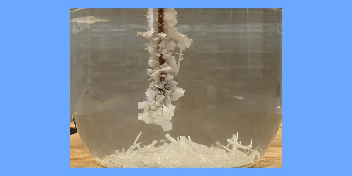 Как вырастить кристалл из соли: безопасный опыт для детей и взрослых