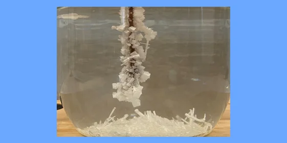 Как вырастить кристалл из соли: безопасный опыт для детей и взрослых