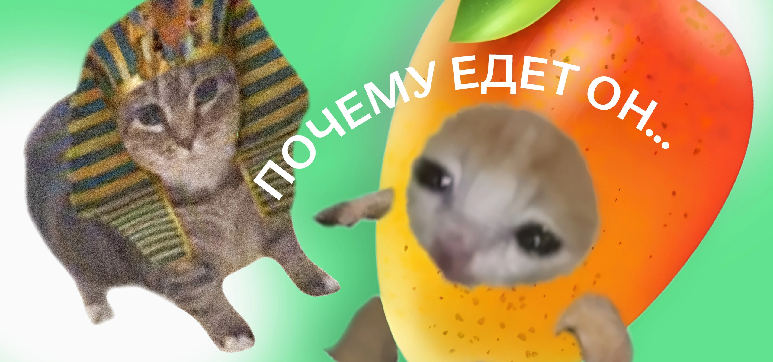 Почему едет он, а не я? Сезонный салат с&nbsp;манго направляется прямо к&nbsp;вам домой