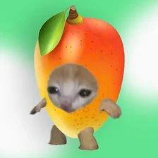 Почему едет он, а не я? Сезонный салат с манго направляется прямо к вам домой