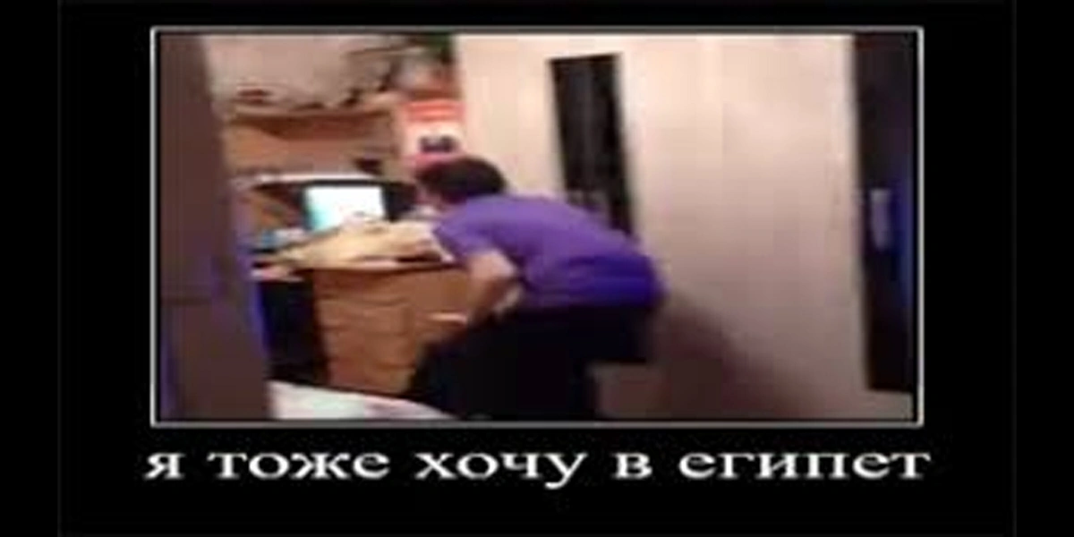 Почему едет он, а не я? Сезонный салат с&nbsp;манго направляется прямо к&nbsp;вам домой