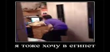 Почему едет он, а не я? Сезонный салат с&nbsp;манго направляется прямо к&nbsp;вам домой