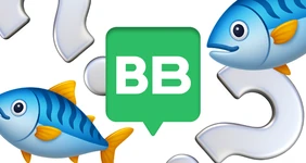 Провели проверку скумбрии