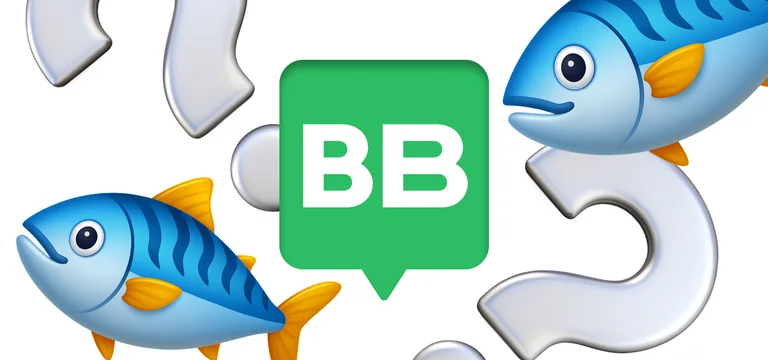 Провели проверку скумбрии