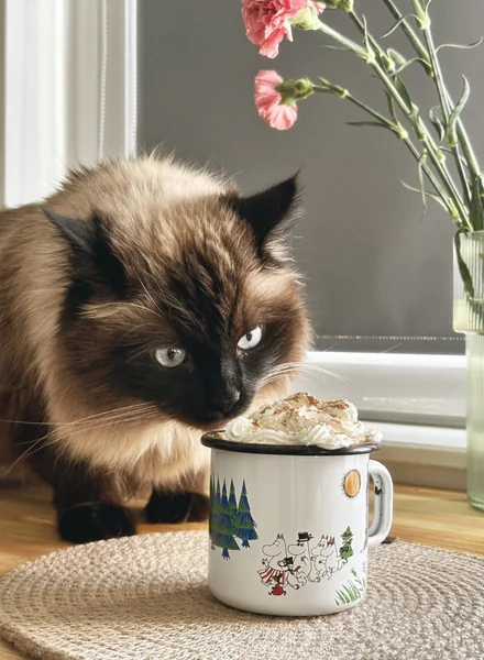 Готовим тыквенный латте дома по рецептам из TikTok