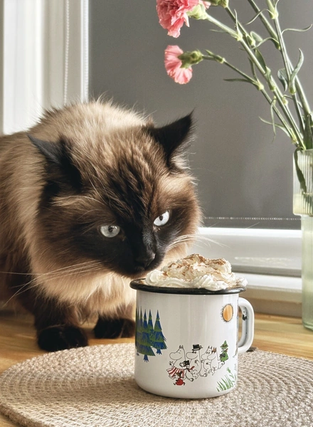 Готовим тыквенный латте дома по&nbsp;рецептам из&nbsp;TikTok