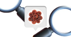 Сухофрукты на проверке: разбираемся, что случилось