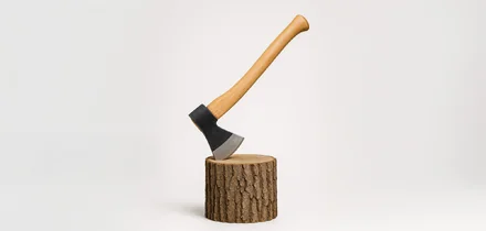 Почему лесов становится меньше и что мы можем с этим сделать уже сейчас