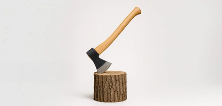 Почему лесов становится меньше и&nbsp;что мы можем с&nbsp;этим сделать уже сейчас